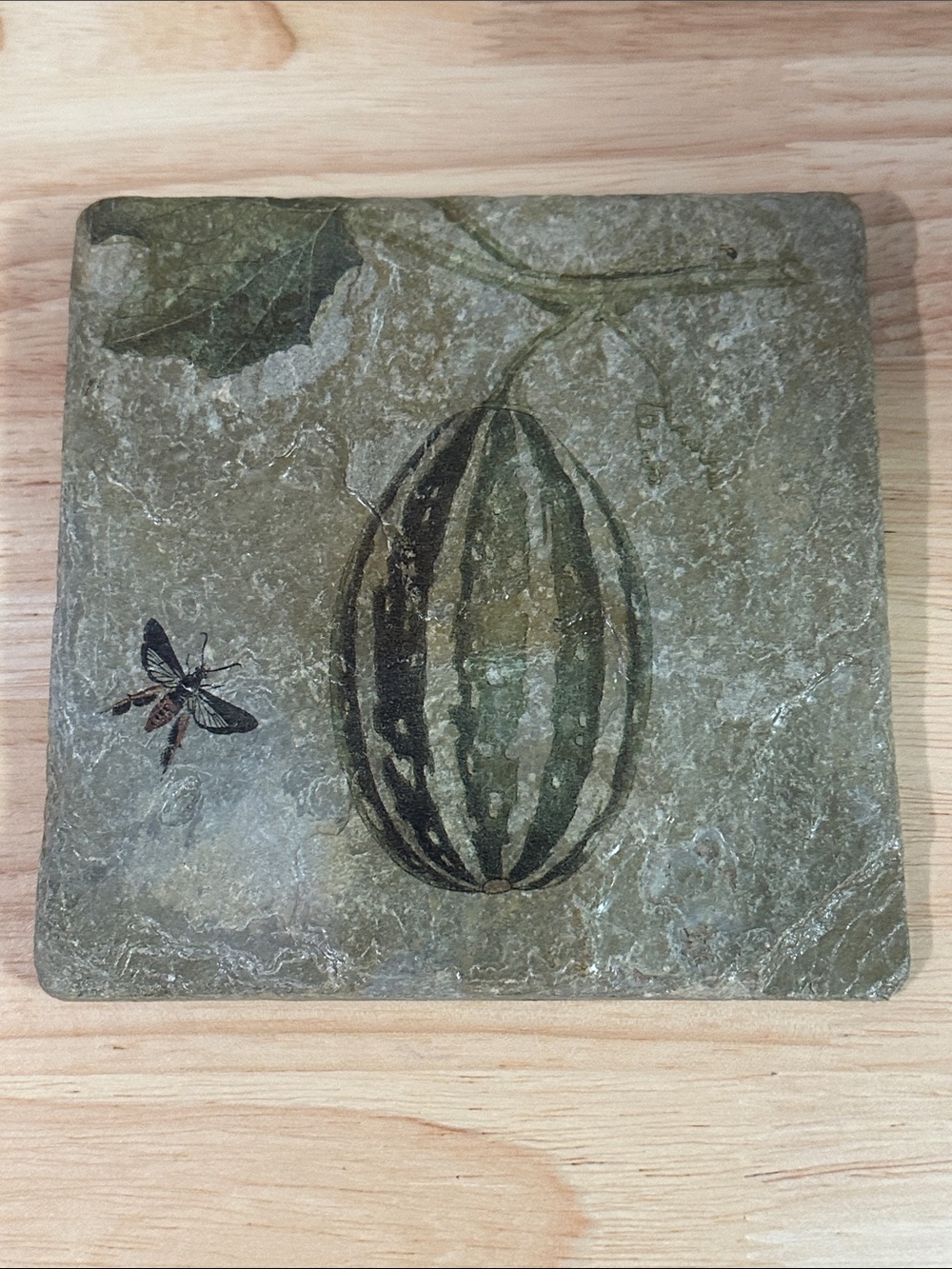 Vintage Pamela Murray Designs Historical Fragments Stone Tile Art Trivet Squash